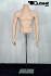 Male Torso skin
