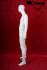 Male window dummy, abstract