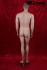 Male window dummy