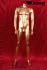 Male window mannequin, gold