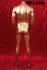 Male window mannequin, gold