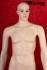 Male Window Mannequin, skin