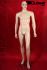 Male Window Mannequin, skin
