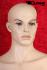 Male Window Mannequin, skin