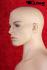 Male Window Mannequin, skin