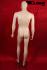 Male Window Mannequin, skin