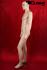 Male Window Mannequin, skin