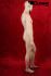 Male Window Mannequin, skin