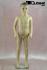 Mannequin Boy