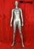 Mannequin Female, Silver