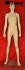 mannequin skincolored