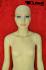 mannequin skincolored
