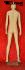 mannequin skincolored