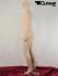 Mollige Schaufensterpuppe / Mannequin