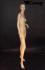 Natural Mannequin, Female