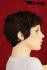 Redbrown shorthair wig for women