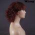 Rot / Braune Kurzhaarpercke mit Locken
