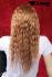 Rotblonde Langhaarpercke mit Locken