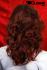 Rotbraune Langhaarpercke mit Locken