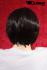Short hair wig, black