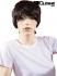 Shorthair wig darkbrown