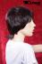 Shorthair wig violet
