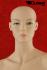 Simple Female Mannequin