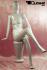 Sitting Female Mannequin, Shining White
