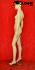 Skin colored mannequin, female