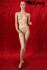 Skin coloured female window dummy