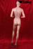 Skin coloured window dummy female