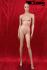 standing window dummy female