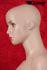 standing window dummy female