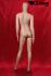 standing window dummy female
