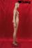 standing window dummy female