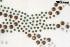 Strassmotiv Strass Hotfix Drachen 32x49cm Bgelbild Applikation Strasssteine fr Kleidung