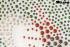 Strassmotiv Strass Hotfix Drachen 32x49cm Bgelbild Applikation Strasssteine fr Kleidung