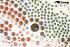 Strassmotiv Strass Hotfix Drachen 32x49cm Bgelbild Applikation Strasssteine fr Kleidung