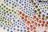 Strassmotiv Strass Hotfix Drachen 32x49cm Bgelbild Applikation Strasssteine fr Kleidung