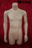 Torso mnnlich hautfarben