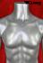torso