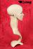 Weibliche B�ste aus Kunststoff