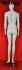 Weibliche Schaufensterfigur, faceless, glnzend wei