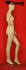Weibliche Schaufensterfigur / Mannequin