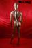 Weibliche Schaufensterpuppe faceless bronze