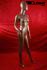 Weibliche Schaufensterpuppe faceless bronze
