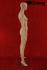 Weibliche Schaufensterpuppe / Mannequin