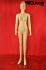 Weibliche Schaufensterpuppe / Mannequin