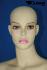Weibliche Schaufensterpuppe Schaufensterfigur hautfarben Mannequin