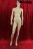 Weibliche Schaufensterpuppe Schaufensterfigur Mannequin natrlich haut hautfarben